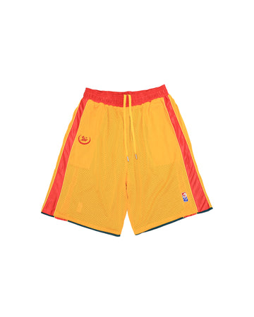 SICKÖ GKL BALL REVERSIBLE SHORTS GREEN/YELLOW